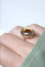 Ring Old ring fixed under glass Fox 58 Facettes
