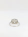 Ring Art Deco Platinum Ring and Rose Cut Diamonds 58 Facettes 448
