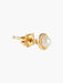 Yellow Gold / Pearl Earrings GOLD & PEARL EARRINGS 58 Facettes BO/220024