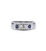 Ring 54 / White/Grey / 750‰ Gold Sapphire Diamond Ring 58 Facettes 220009R