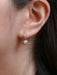 Boucles d'oreilles Boucles d'oreilles dormeuses Or jaune Platine Diamants 58 Facettes J260