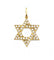 Pendentif Jaune / Or 750 Pendentif Etoile de David Diamants 58 Facettes 220380R