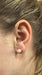 Boucles d'oreilles Boucles d'oreilles clous Or Perles 58 Facettes