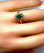 Ring Emerald Daisy Diamond Ring 58 Facettes AB181