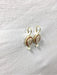 Earrings Cameo And Pearl Earrings 58 Facettes
