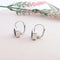 Boucles d'oreilles Boucles d'oreilles Dormeuses Pendantes Améthystes 58 Facettes AB 1082
