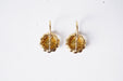 Earrings Leverback pearl earrings 58 Facettes