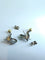 Boucles d'oreilles Clous d'oreilles "Otarie" 58 Facettes 17