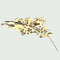 Broche Broche S.XIX époque antique or 18 kts et argent avec diamants 58 Facettes Q954A (910)