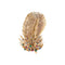 Broche Broche Plume 58 Facettes