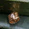 Bague Bague serpent or jaune diamants 58 Facettes 2716