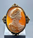 Broche Broche or jaune camée coquille vers 1850 58 Facettes AB302