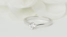 Ring 55 Diamond Solitaire Ring 0,51ct White Gold 58 Facettes 32293