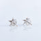 Boucles d'oreilles Boucles d'oreilles Etoile 58 Facettes JE10