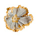 Brooch Brooch, Buccellati pendant, "Prestigio", 3 golds and diamonds. 58 Facettes 31654