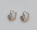 Boucles d'oreilles Boucles d'oreilles dormeuses anciennes or et platine 58 Facettes