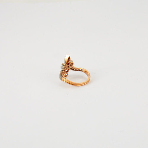 Bague 50 Bague Fleur de lys Rubis Diamants 58 Facettes EL2-05