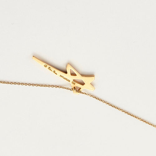 Collier TIFFANY & CO – PALOMA PICASSO- Collier Etoile 58 Facettes