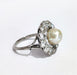 Ring 53 Platinum daisy ring with pearl and diamonds 58 Facettes TBU