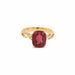 Ring Ring in Yellow Gold, Rubellite & Diamonds 58 Facettes B360