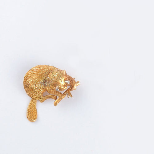 Broche Broches Castor 58 Facettes