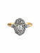 Ring 53 Marguerite Gold and Diamond Ring 58 Facettes