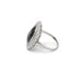 Ring Platinum Ring, Diamonds & Sapphire 58 Facettes 230108R