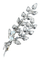 Broche Broche Platine Or Perles Diamants. 58 Facettes AB213